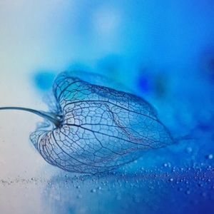 Meet your Posher, Melanie f